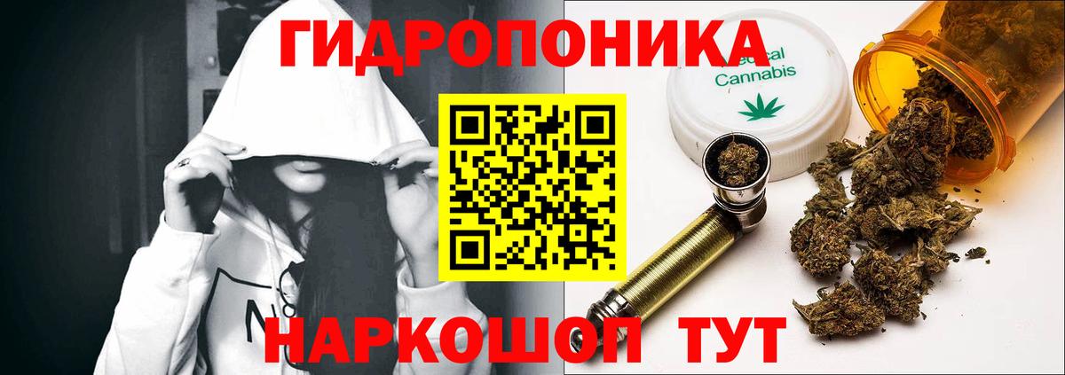Шишки марихуана марихуана Нововоронеж